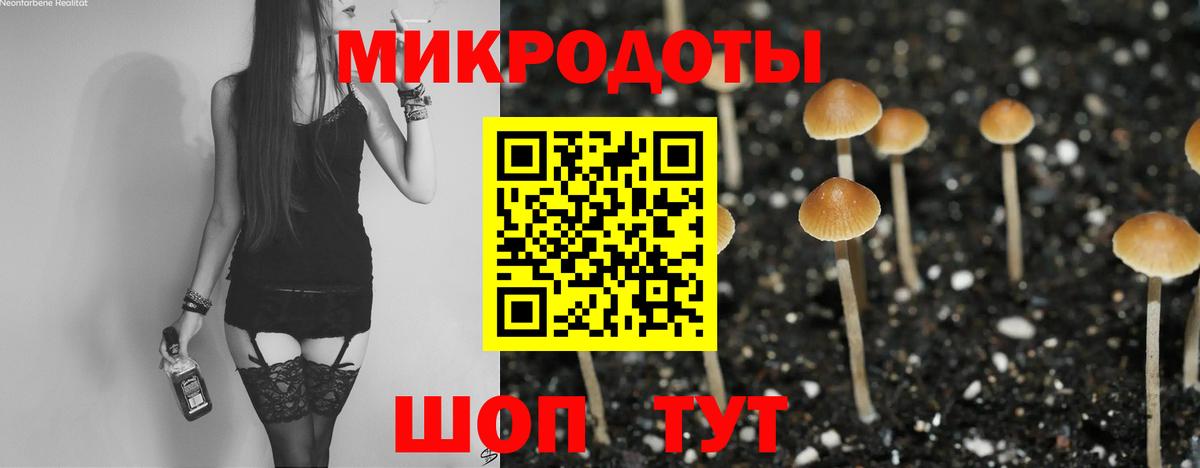 Псилоцибиновые грибы Magic Shrooms Вятские Поляны